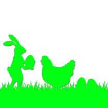 STICKERS FLUO POULES 120 X 80 VERT